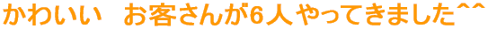 킢@q6lĂ܂OO
