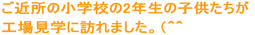 ߏ̏wZ2N̎q  HꌩwɖK܂BiOO@@@@@@ 