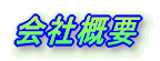 ЊTv